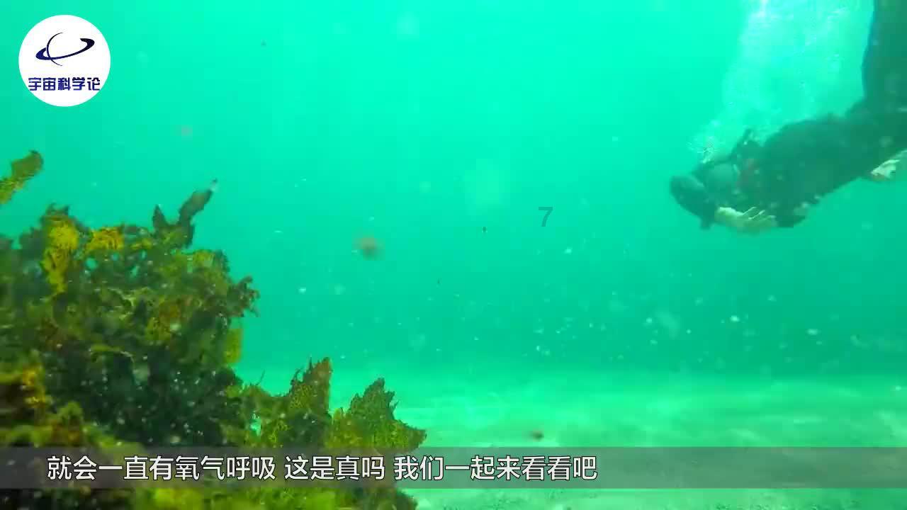 《逆转裁判456王泥喜精选集》配置要求介绍